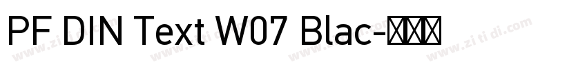 PF DIN Text W07 Blac字体转换